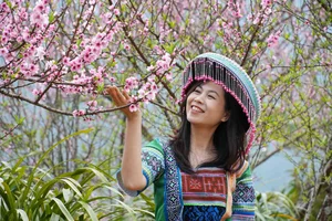 Spring in Vietnam: Breathtaking Peach Blossoms at Sin Suoi Ho Community Tourism Village, Lai Chau-5