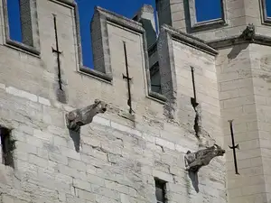 Explore Avignon Papal Palace: Europe's Grandest Gothic Marvel-0