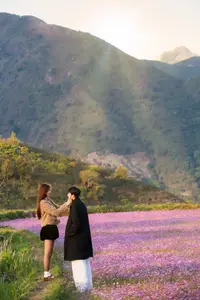 Ta Xua's Cosmos Flower Hill: A Romantic Escape Amidst Majestic Northwest Nature-9