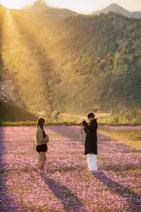 Ta Xua's Cosmos Flower Hill: A Romantic Escape Amidst Majestic Northwest Nature-3