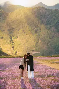 Ta Xua's Cosmos Flower Hill: A Romantic Escape Amidst Majestic Northwest Nature-2