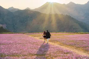 Ta Xua's Cosmos Flower Hill: A Romantic Escape Amidst Majestic Northwest Nature-1