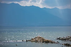 Ethereal Grace of Wan Jiang Ting in YiTuYu Art Language Vol.8851 by the Lake-46