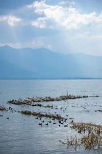 Ethereal Grace of Wan Jiang Ting in YiTuYu Art Language Vol.8851 by the Lake-37