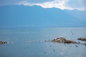 Ethereal Grace of Wan Jiang Ting in YiTuYu Art Language Vol.8851 by the Lake-35