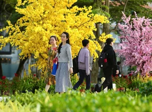 Experience the Vibrant Lunar New Year in Ho Chi Minh City: Stunning Tet Decorations and Nguyen Hue Flower Street Celebrations in Vietnam-6
