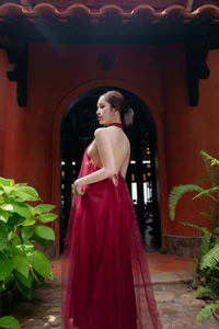 Capture the Essence of Asian Charm: Modern Red Dress with Elegant Traditional Motifs for Sophisticated Fashion Lovers-0