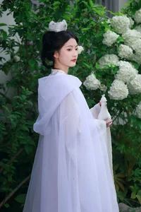 Ethereal Whispers: Nan Gua Zhou Amidst the Blooming Hydrangeas | YiTuYu Art Language Vol. 9092-11