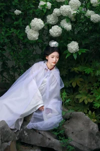 Ethereal Whispers: Nan Gua Zhou Amidst the Blooming Hydrangeas | YiTuYu Art Language Vol. 9092-15