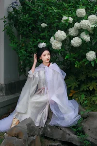 Ethereal Whispers: Nan Gua Zhou Amidst the Blooming Hydrangeas | YiTuYu Art Language Vol. 9092-8