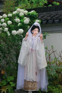 Ethereal Whispers: Nan Gua Zhou Amidst the Blooming Hydrangeas | YiTuYu Art Language Vol. 9092-0