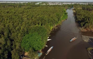 Escape to Tan Lap Floating Village: A Serene Melaleuca Forest Retreat in Vietnam’s Mekong Delta for Nature Lovers and Adventure Seekers-6