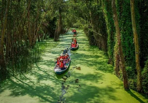 Escape to Tan Lap Floating Village: A Serene Melaleuca Forest Retreat in Vietnam’s Mekong Delta for Nature Lovers and Adventure Seekers-7