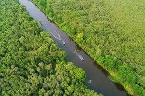 Escape to Tan Lap Floating Village: A Serene Melaleuca Forest Retreat in Vietnam’s Mekong Delta for Nature Lovers and Adventure Seekers-0