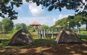 Escape to Tan Lap Floating Village: A Serene Melaleuca Forest Retreat in Vietnam’s Mekong Delta for Nature Lovers and Adventure Seekers-1