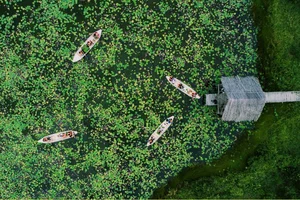 Escape to Tan Lap Floating Village: A Serene Melaleuca Forest Retreat in Vietnam’s Mekong Delta for Nature Lovers and Adventure Seekers-4