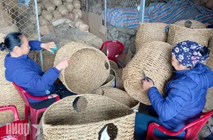 Discover the Timeless Art of Traditional Sedge Weaving in Tay An Village, Vietnam: A Celebration of Sustainable Craftsmanship and Cultural Heritage-5